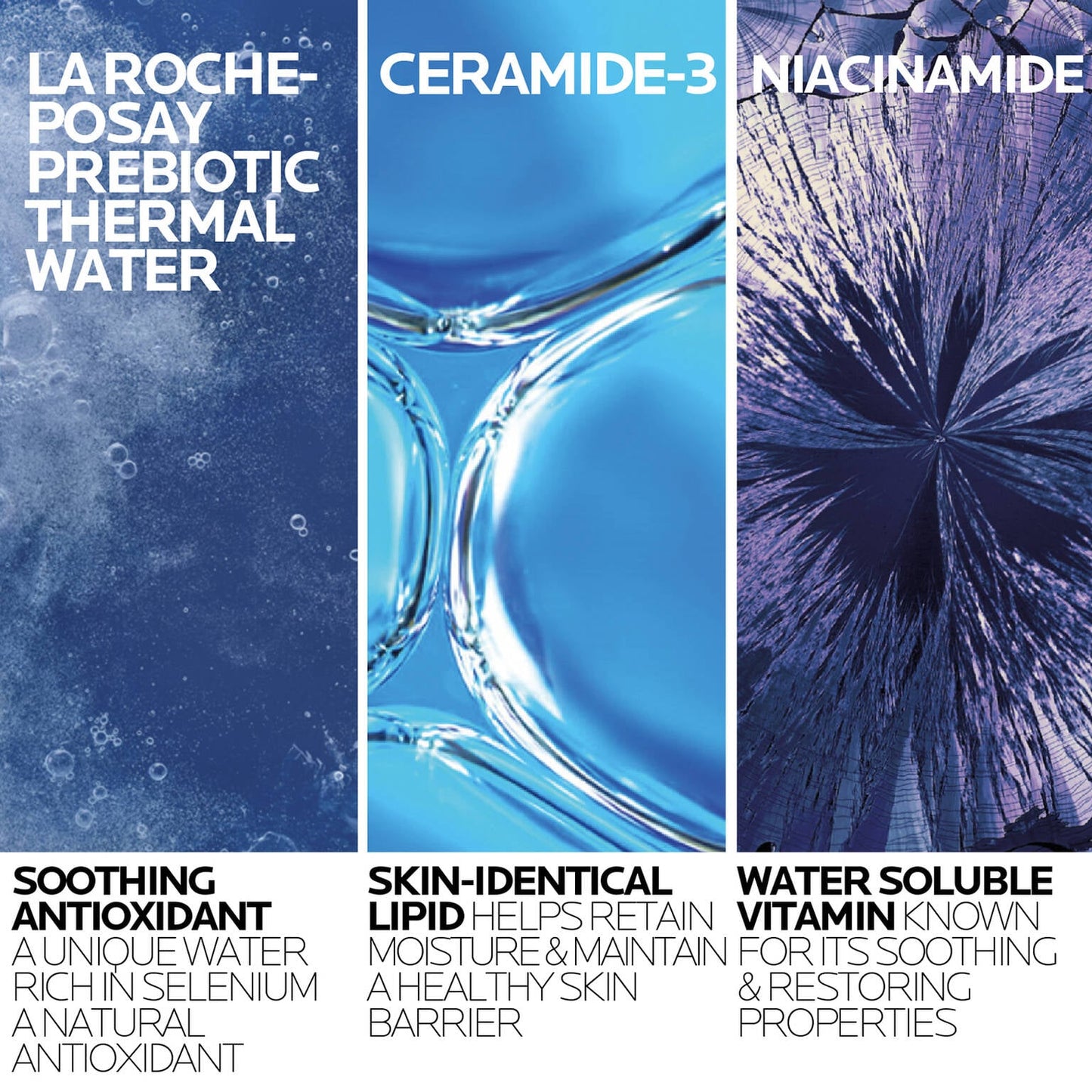 toleriane-purifying-foaming-cleanser-and-toleriane-double-repair-face-moisturizer-travel-set-x4 2-TolerianeCleanserUSRefill-400ml-ATF Ingredient Science-Rev.jpg