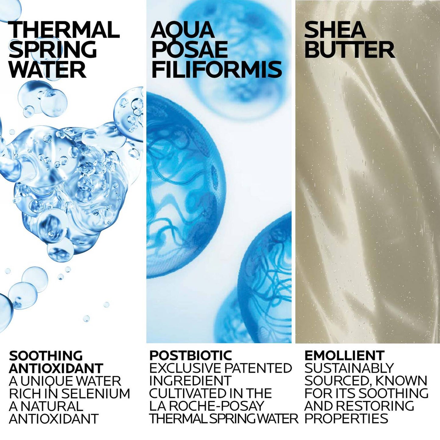 lipikar-wash-ap-moisturizing-body-and-face-wash-f6 Lipikar-Wash-ingredients_1500x1500-REV.jpg